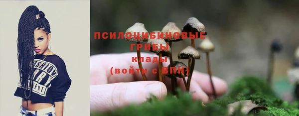 молекула духа Беломорск
